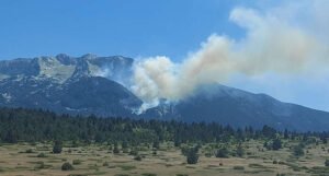 Hrvatska poslala pomoć, njihov kanader gasi požar na planini Čvrsnici