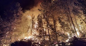 Rasplamsao se veliki požar na Blidinju, širi se sve više, ugrožena vikend naselja