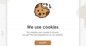 Čemu uopšte služe internet kolačići (cookies) i da li su opasni?