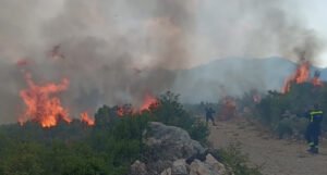 Požar u Neumu ugrožava stanovništvo, privatne i gospodarske objekte