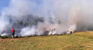 Požare u Hercegovini koji su bili aktivni zadnjih 15 dana pogasila kiša