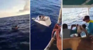 Pronašli ribara koji je danima plutao na zamrzivaču, nakon spašavanja – uhapšen je