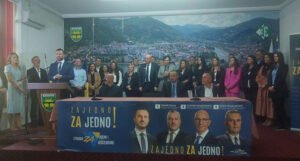 Efendić: Tražimo da BiH bude kao i sve druge države, a ne da bude specijalna država