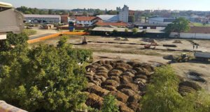 Lidl počeo izgradnju objekata u Bosni i Hercegovini