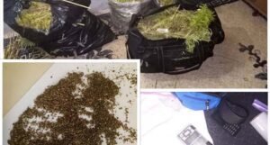 U kući pronađeno skoro 20 kilograma marihuane, policija traga za vlasnikom