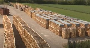 U skladištima širom BiH propada stotine miliona eura ogrjevnog drveta