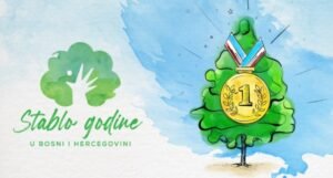Izbor stabla godine u BiH: Nominujte drvo posebne vrijednosti putem platforme TvojCO2.ba