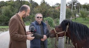Edhem se vratio iz Švicarske, pa ga prevarili: Bego mi je prodao ofarbanog konja i još se hvali