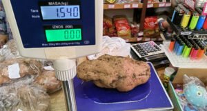 U Hercegovini uzgojen krompir težak više od jednog i po kilograma