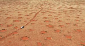 Naučnici objasnili misteriozne travnate krugove usred pustinje