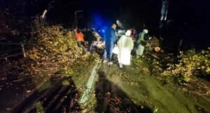 Nevrijeme u Hercegovini, vatrogasci uklanjali drvo s ceste