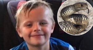 Dječak (11) umro nakon što ga je ujela zmija, otac optužen za ubistvo iz nehata