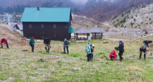 Konjički planinari zasadili 2.000 sadnica smreke, crnog bora i munike