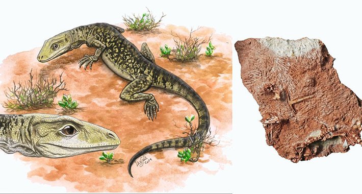 Pronađen jedan od najvažnijih fosila u posljednjih nekoliko decenija