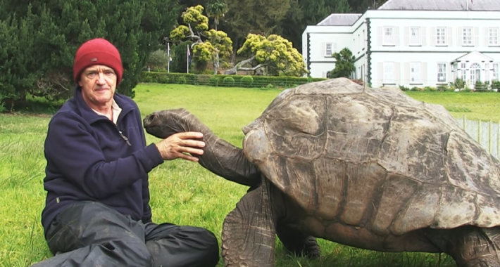 Upoznajte najstariju kornjaču na svijetu