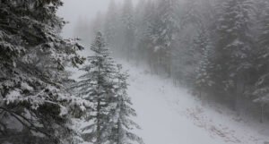 Pao snijeg na planinama u BiH