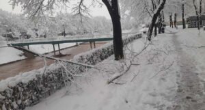 Snijeg stvara probleme u Sarajevu, na nekoliko lokacija u gradu oštećena stabla