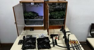 Pronađena improvizovana laboratorija za uzgoj marihuane