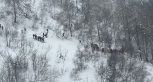 Niz lavina u Austriji, najmanje tri osobe poginule