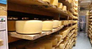 Livanjski sir dobio prestižno priznanje “Superior Taste Award”
