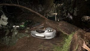 Nevrijeme u Hrvatskoj: Orkanski vjetar čupao stabla, voda ušla u kuće