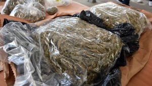 Preko brda pješice u Hrvatsku unio 55 kilograma marihuane, uhvaćen “slučajno”