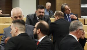DF-ovac zatražio smjenu Bradare i Marinković Lepić, njegova inicijativa odbijena