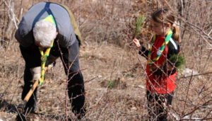 U akciji pošumljavanja na Rujištu posađeno 2.400 sadnica crnog bora