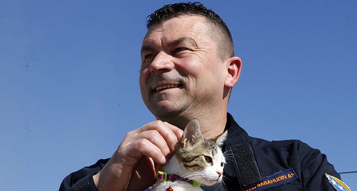 Bh. spasilac dobio iznenađujuće vijesti o mački koju je spasio u Turskoj