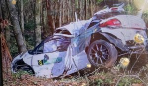 Nova tragedija u reliju: Poginula dvojica Španaca, autom se zabili u drvo