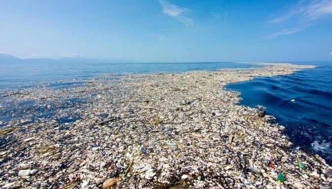Na Velikom pacifičkom ostrvu smeća razvio se ekosistem