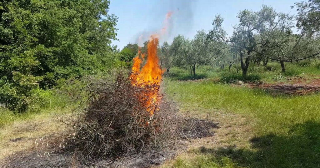 Ko bude nekontrolisano palio travu i biljni otpad biće kažnjen sa 1.000 maraka