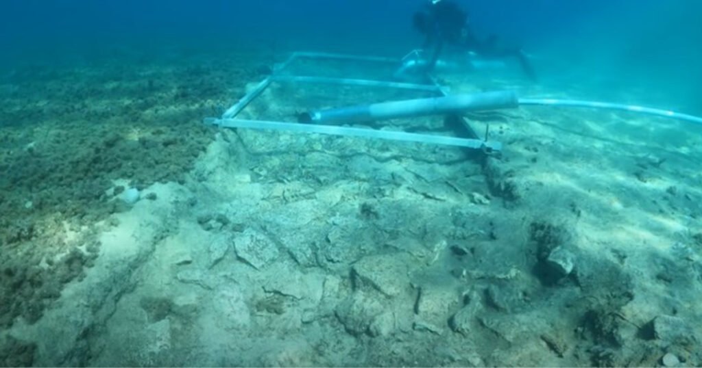 Pod morem kod Korčule otkriveni cesta stara 7000 godina i ostaci naselja