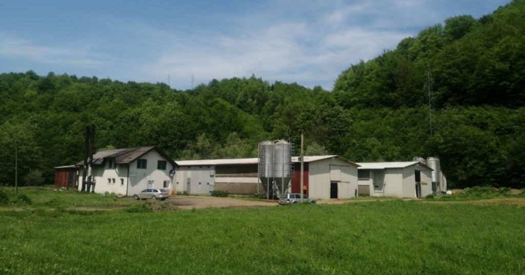 Nezadovoljan odnosom vlasti preuzeo farmu pilića u Srebrenici, zadržao mlade uposlenike