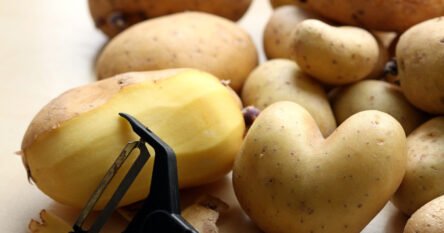 Nije bezbjedno jesti proklijali krompir – može biti opasan po zdravlje