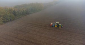 Poljoprivrednici u problemu zbog lošeg vremena: Pšenica obolijeva, višak je vlage
