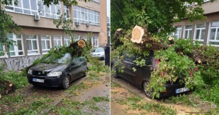 Posljedica jakog nevremena: Stablo palo na automobil