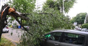 Olujno nevrijeme iz Slovenije stiglo u Hrvatsku, u Zagrebu vjetar oborio nekoliko stabala