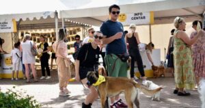 Fondacija Dogs Trust BiH organizirala veliko druženje u Mostaru