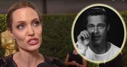 Brad Pitt tuži Angelinu Jolie zbog prodaje zajedničkog vinograda