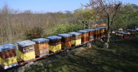 Upozorenje pčelara i uzgajivača ljekovitog bilja: “Vidite šta se događa sa voćem”