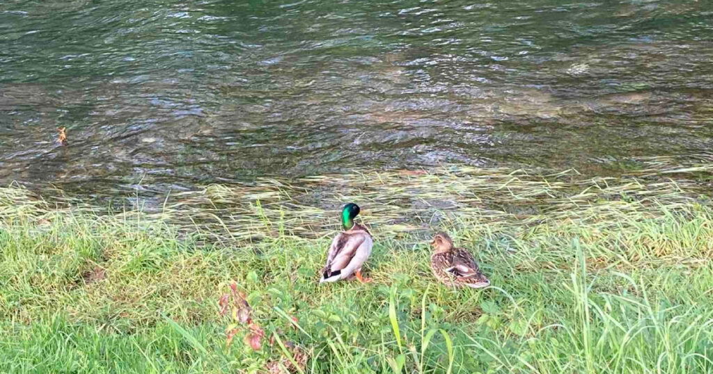 Ako ćete vani, ponesite kišobran za svaki slučaj