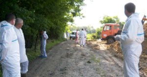 Afrička svinjska kuga u BiH: Novi slučajevi pojavljuju se sporadično