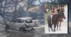 Prizori užasa u Hrvatskoj: Izgorjeli automobili, ljudi spašavaju životinje