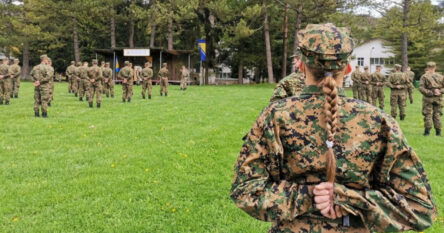 Oružane snage BiH traže 300 ljudi, raspisan je oglas