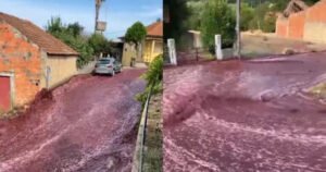 Bujica crvenog vina teče niz ulice, iz rezervoara se izlilo više od dva miliona litara