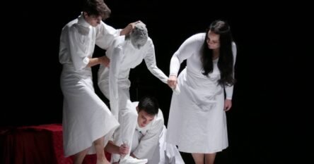 Magični teatar u Sarajevu predstavlja lutkarski performans “Lan Guinée”