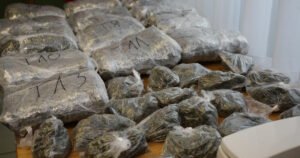 Državljanini Srbije i BiH u teretnjaku imali više od 33 kilograma droge, otkrio je pas