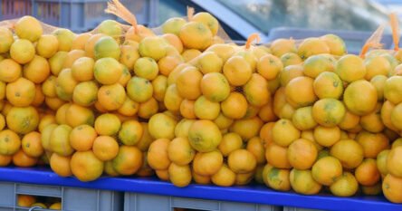 Mandarine iz Hrvatske koje su išle za BiH vraćane s granice:  Prskane zabranjenim pesticidima