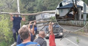 Snažan vjetar pravi probleme širom BiH: Oborena stabla, zaustavljen saobraćaj